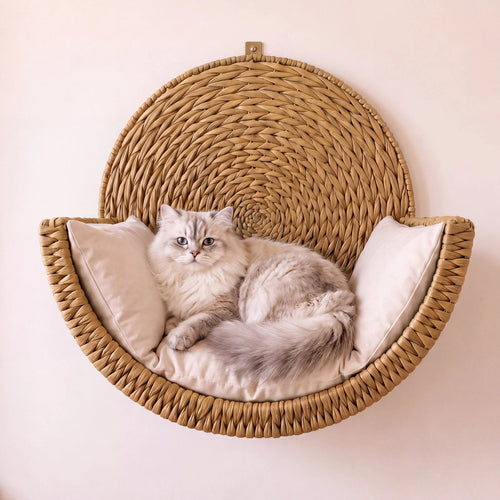Cat resting inside the Nest